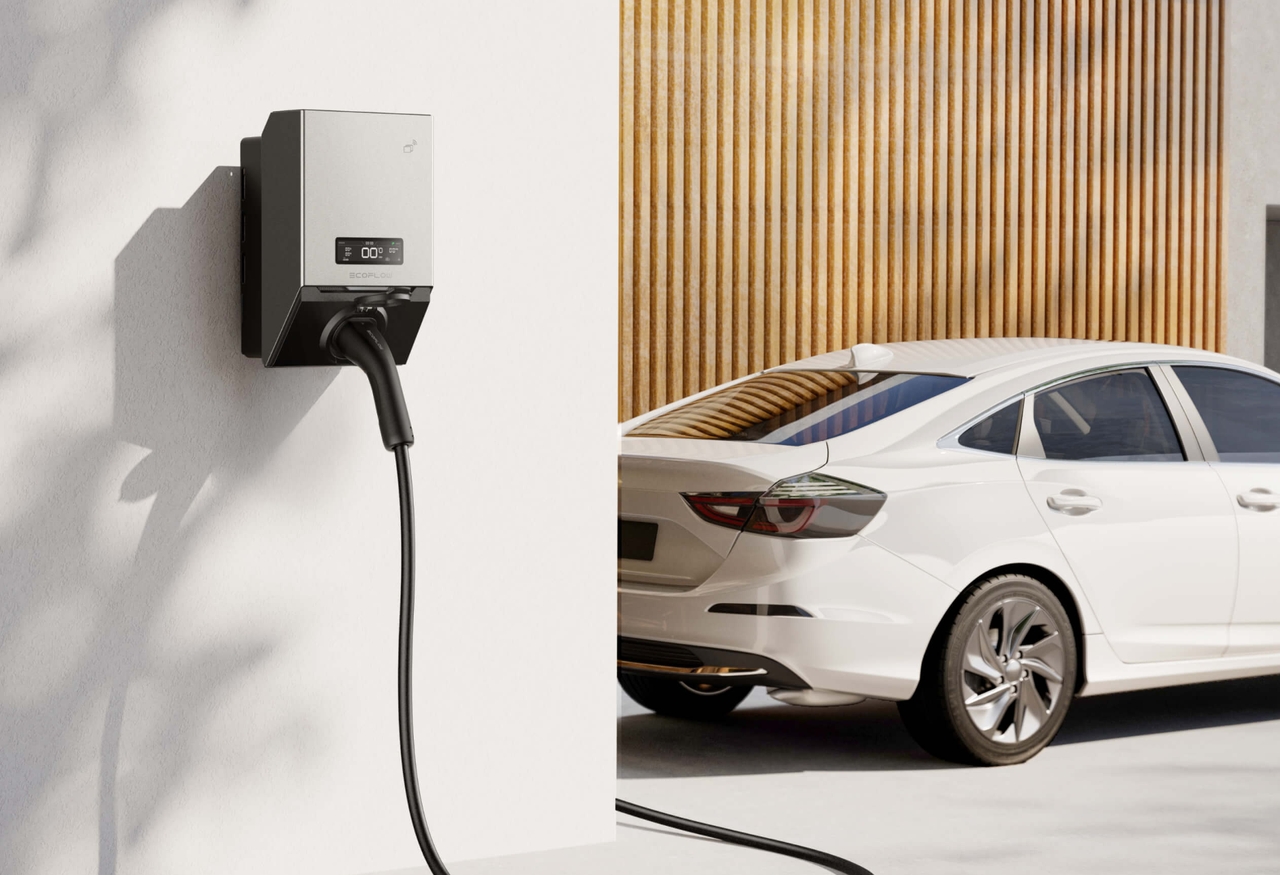 EcoFlow PowerPulse 2