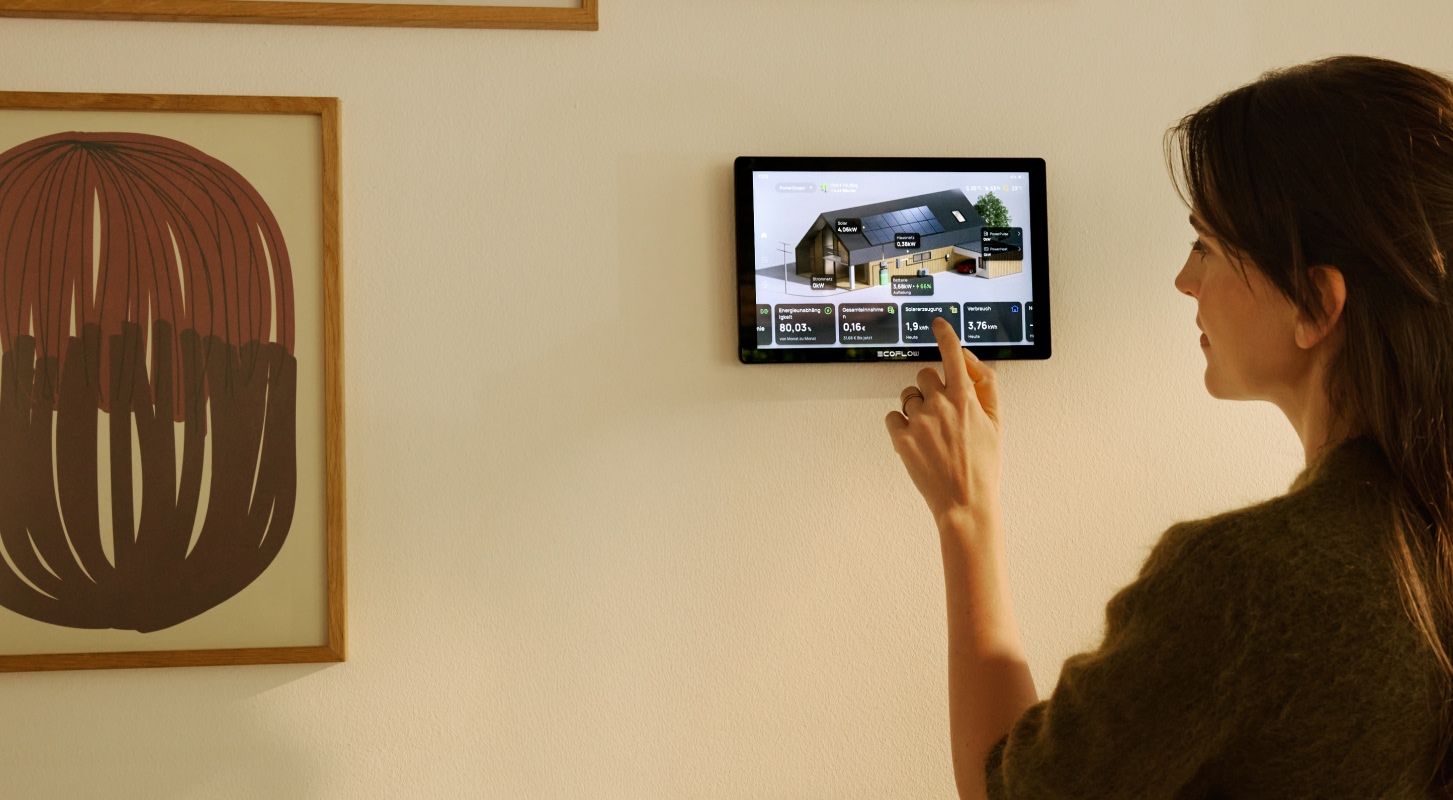 EcoFlow PowerInsight 2 home energy monitor