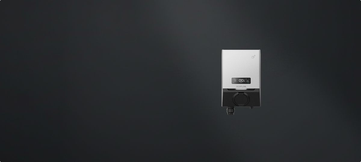 EcoFlow PowerPulse 2