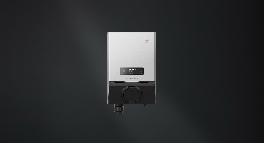 EcoFlow PowerPulse 2