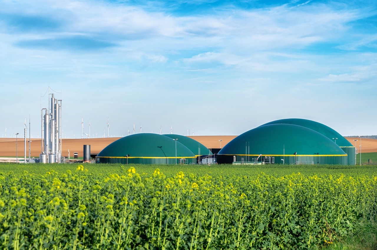 Bioenergy