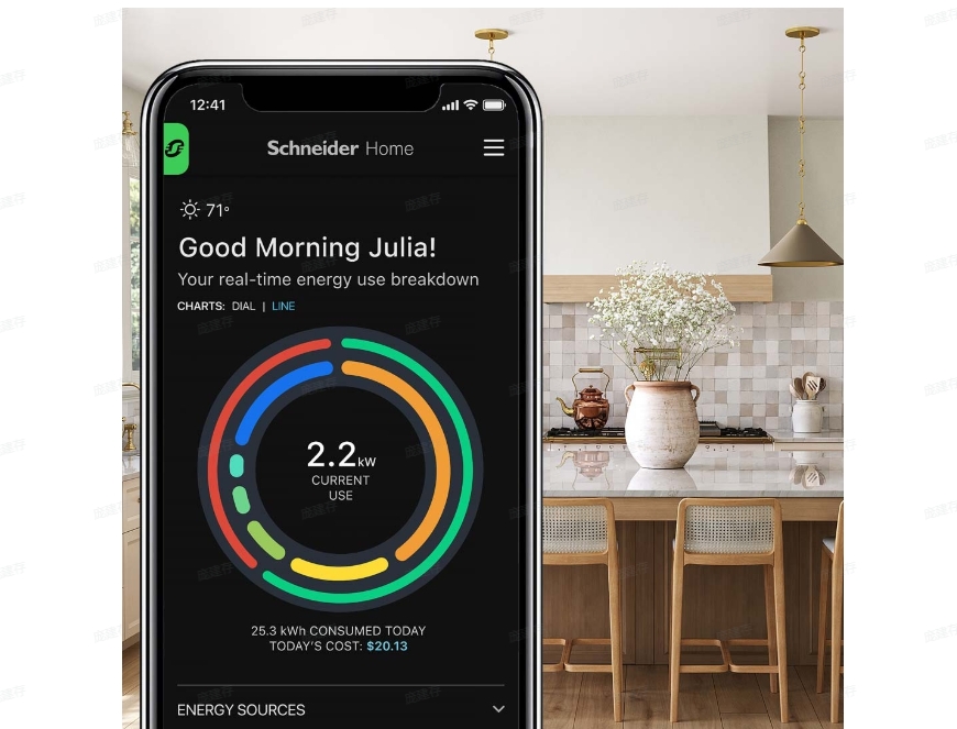 Schneider Electric Home Energy Monitor