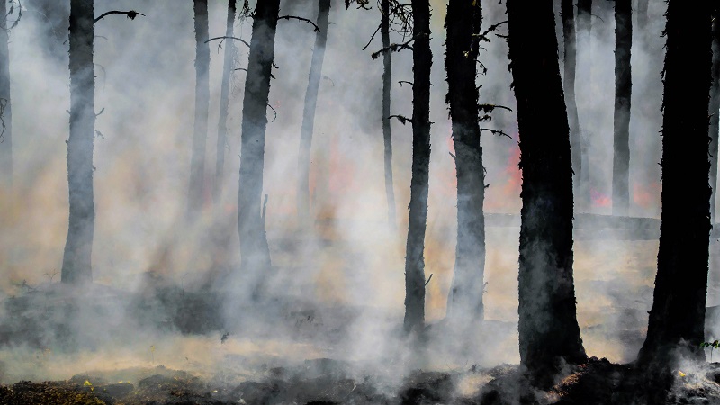 Wildfires create toxic fumes