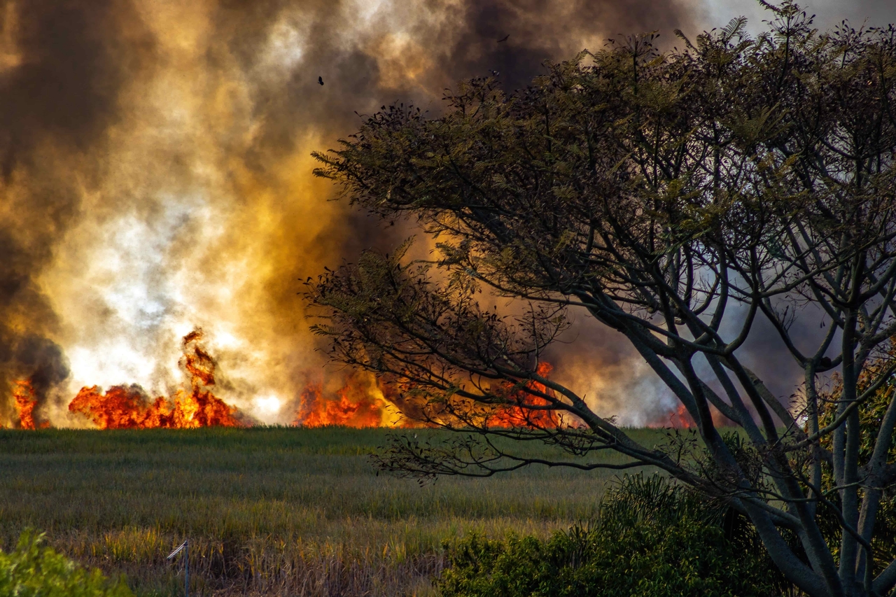 landscape burning with smoke