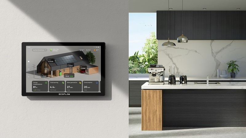 EcoFlow PowerInsight 2