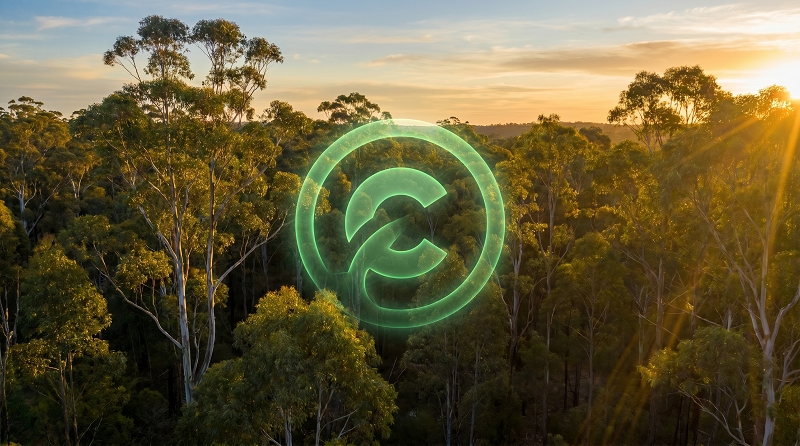 EcoFlow Image