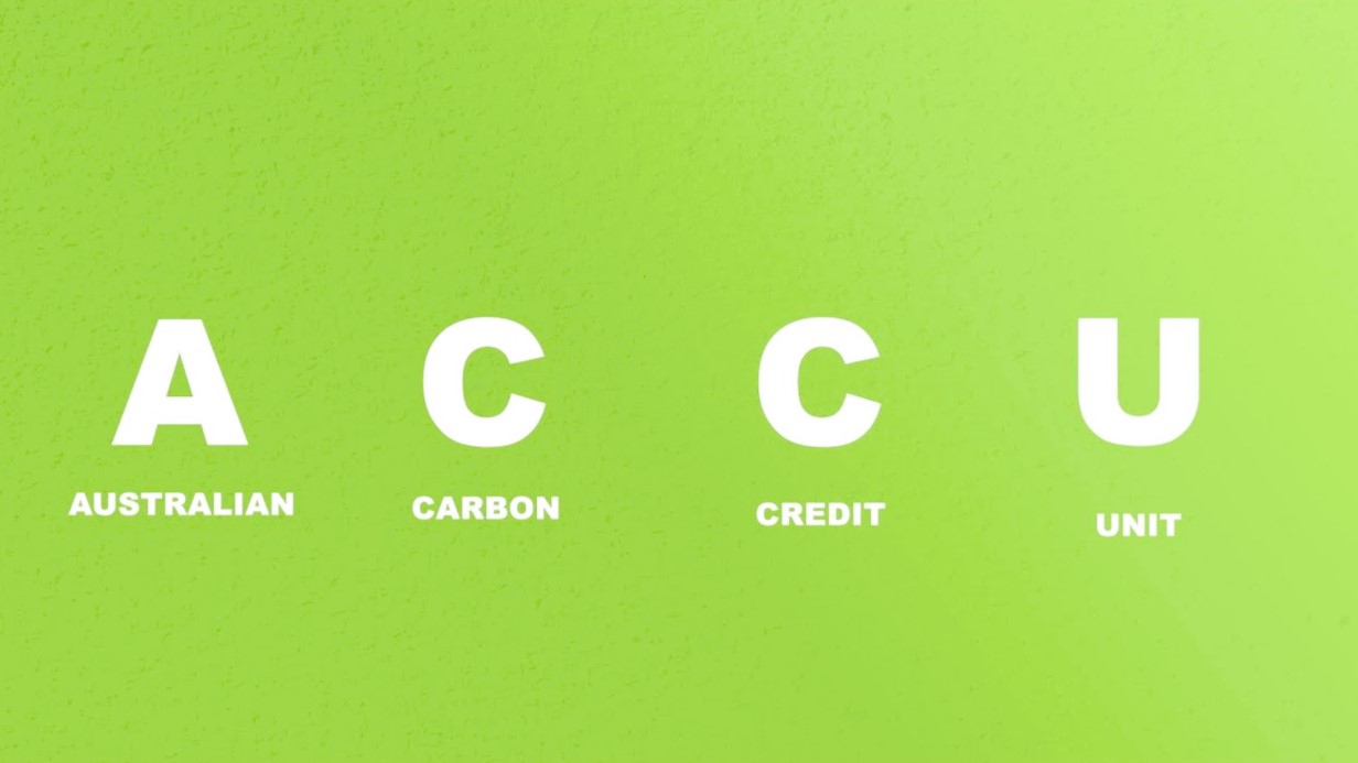 Full-form of ACCU