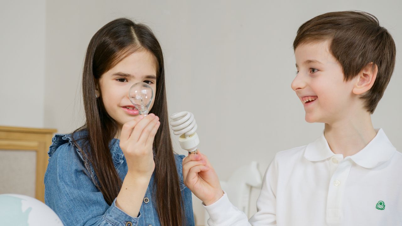 switching out incandescent light bulbs for LED bulbs