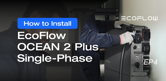 EcoFlow Image