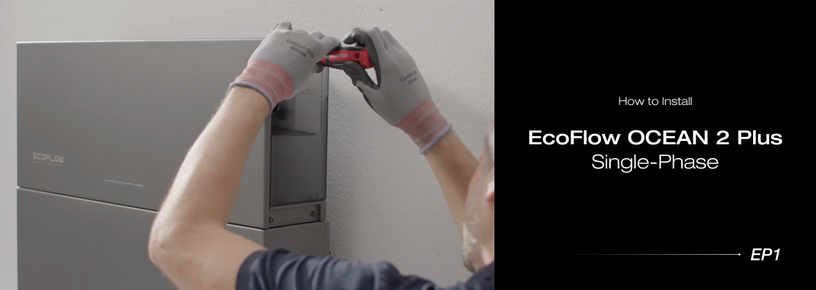 EcoFlow Image