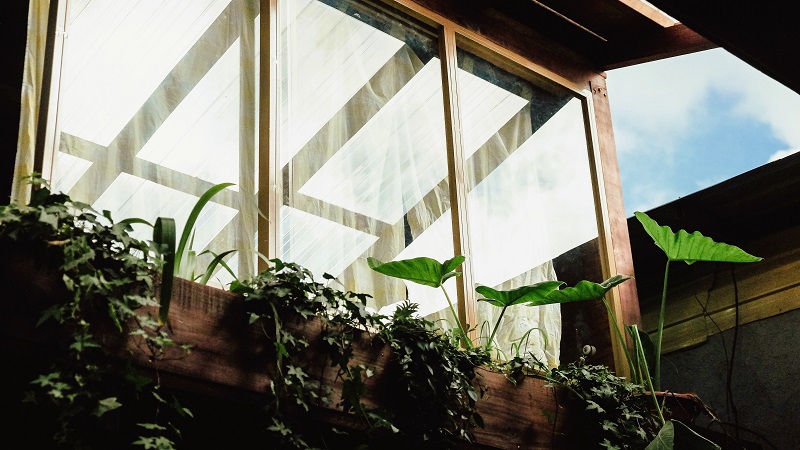 Sealing your windows